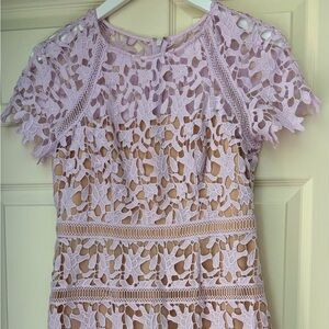 Eliza J crochet overlay dress 6P